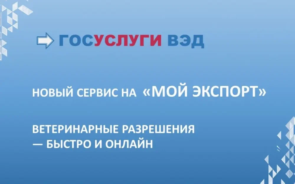 Выход на внешние рынки проще: как ЦПЭ и платформа «Мой экспорт» поддерживают брянский бизнес