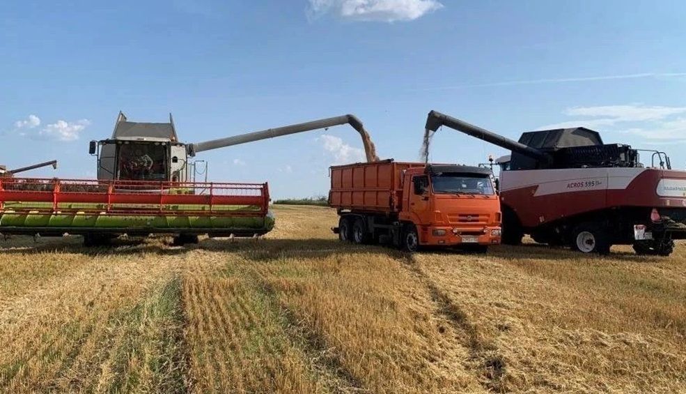 В Брянской области началась уборочная кампания