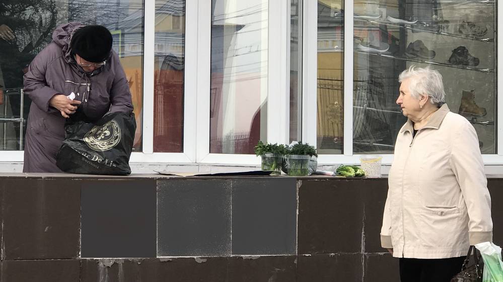 В Госдуме предложили повысить пенсии до международного уровня − брянцы отстанут
