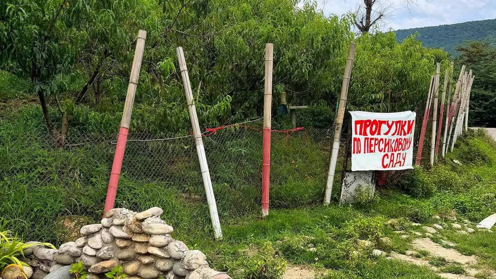 Стало известно, что армянских фруктов в Брянске станет еще меньше