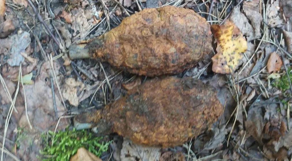 В Брянском районе обезвредили две гранаты