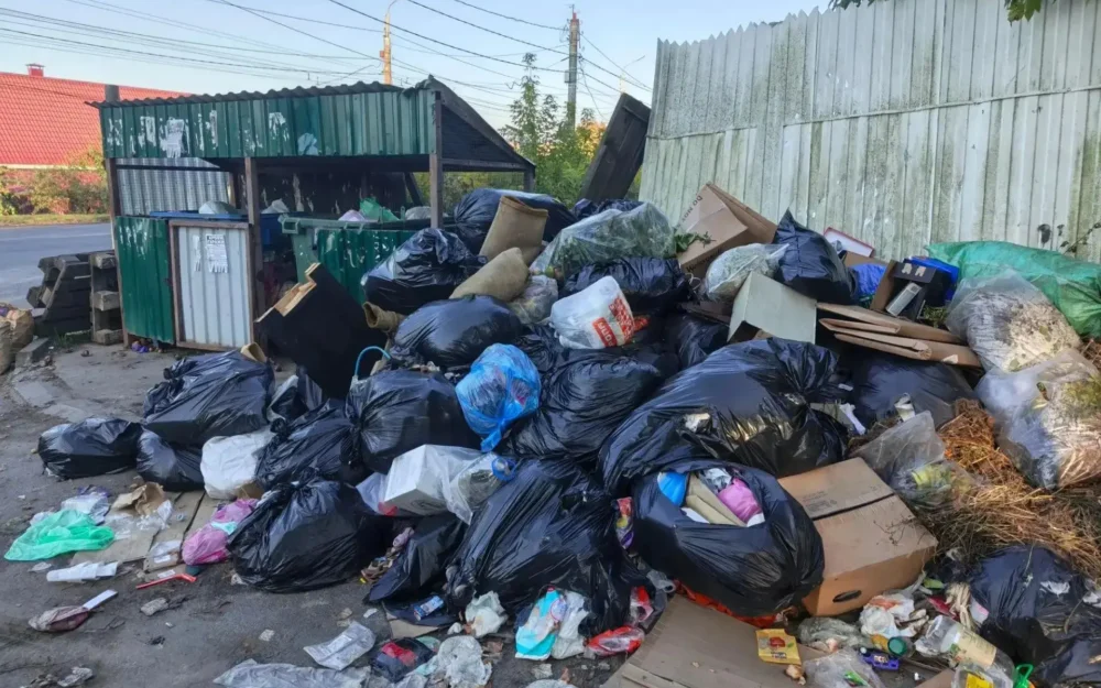 Мэрия Брянска показала горы мусора на Белорусской и Романа Брянского