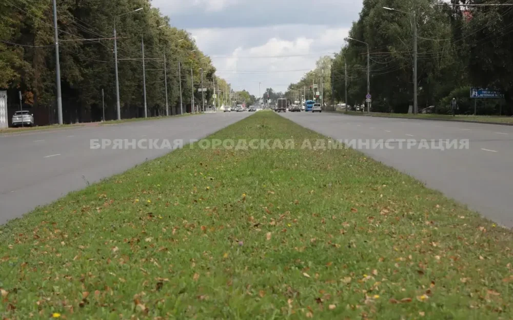 Мэрия Брянска вынесла на голосование судьбу ограждения на Станке Димитрова