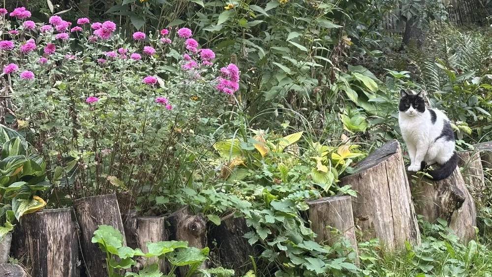 Отопительный сезон в Брянской области начнется лишь в середине октября