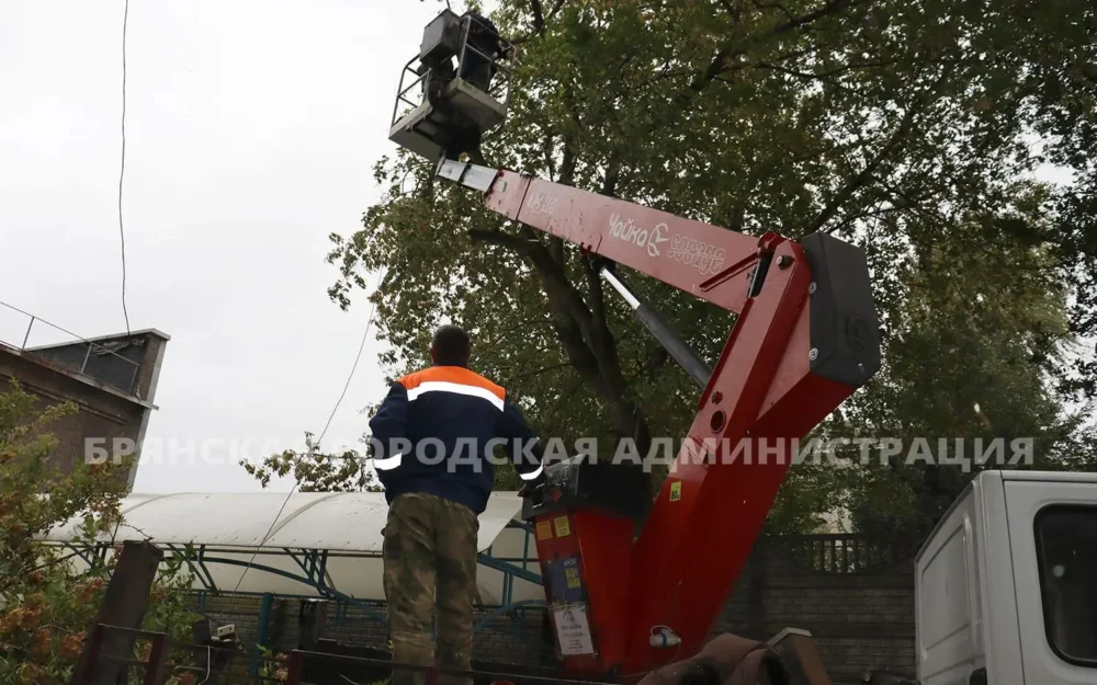 Непогода ударила по Брянску: повалены деревья, оборваны провода