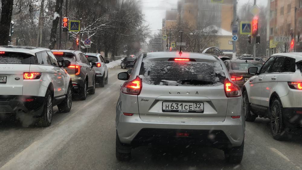 Брянец Евгений Тишковец спрогнозировал аномально теплую зиму