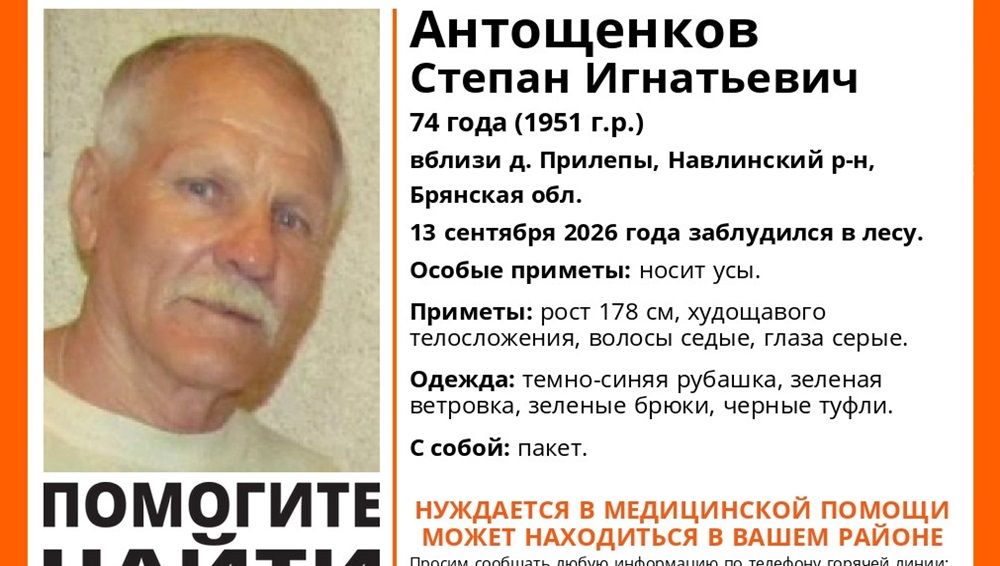 Под Навлей пропал заблудившийся в лесу 74-летний Степан Антощенков