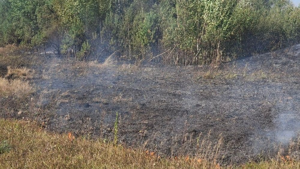 В Клетнянском районе Брянской области спасатели потушили лесной пожар