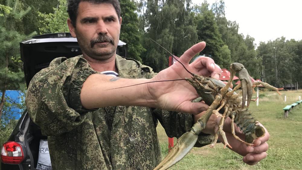 Суровый штраф за раков заставил задуматься, какая орда должна карать брянцев
