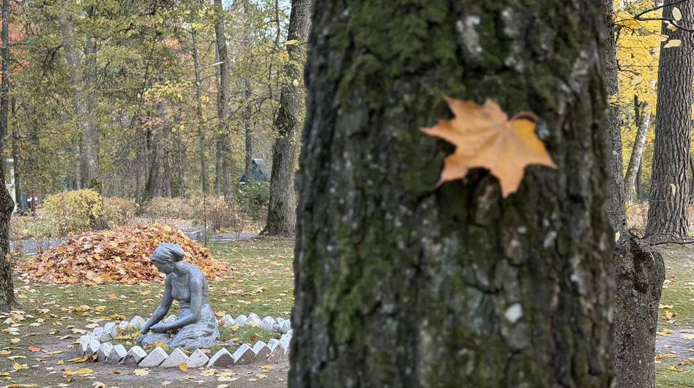 В Брянской области 8 октября пообещали 20-градусное тепло без дождей