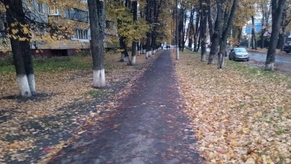 В Брянской области 13 октября пройдут небольшие дожди при 16 градусах тепла