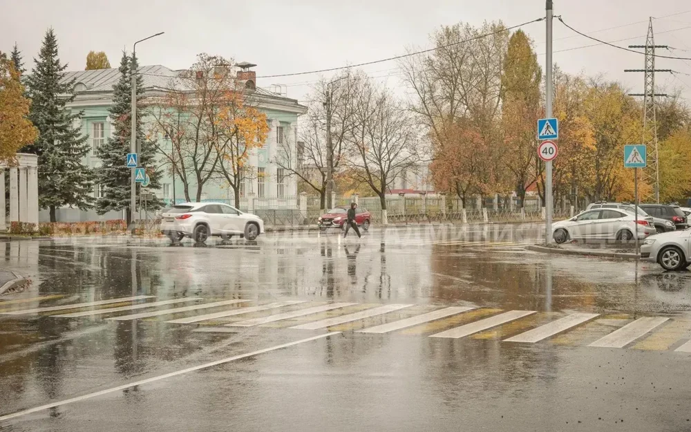 На улице Мичурина в Брянске появится светофор у ДК имени Горького