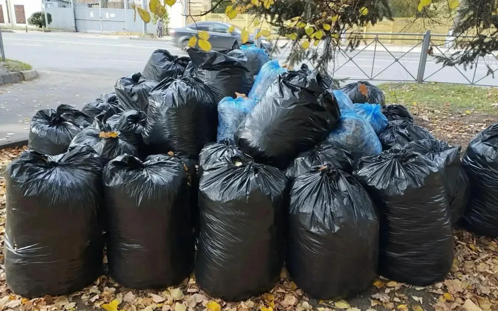 Более 120 сотрудников брянских администраций вышли на уборку города