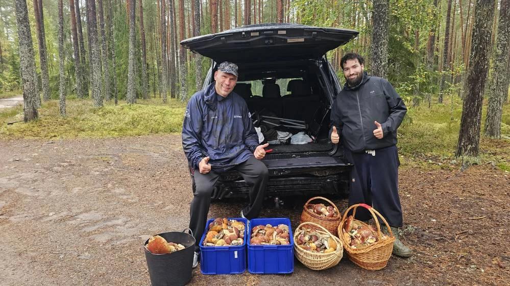 Бывший брянский депутат Валуев набрал гору грибов в лесу, где нет мин