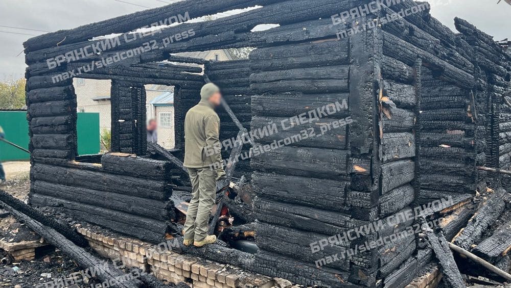 СК начал расследовать гибель при пожаре в Сельцо женщины и её годовалой внучки