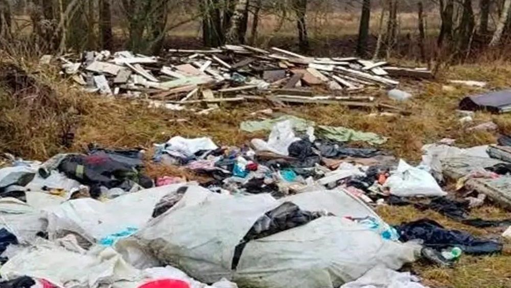 Прокуратура велела мэрии Брянска убрать свалку на берегу Керамзитного озера
