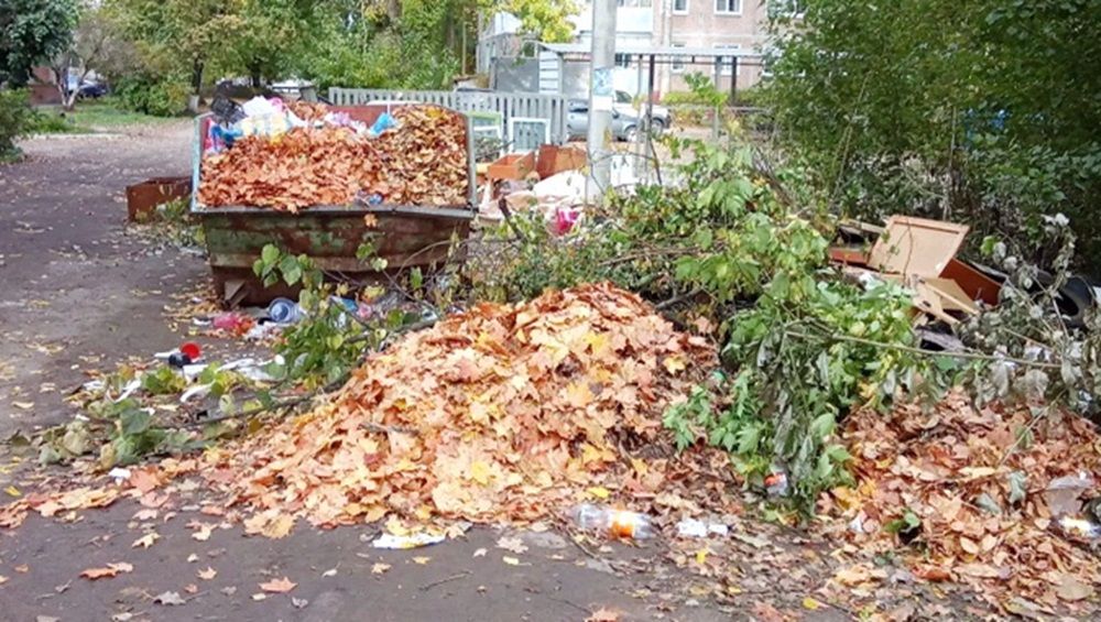 В Брянске мусорщики пожаловались на дворников и опавшую листву