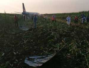 Появилось видео посадки Airbus А321 на кукурузное поле в Подмосковье