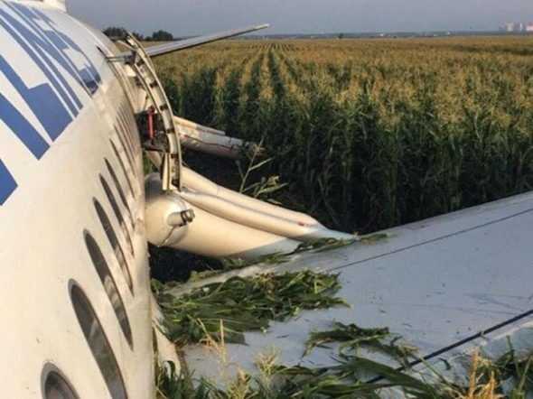 Стало известно, что чуть не погубило севший на кукурузное поле Airbus А321