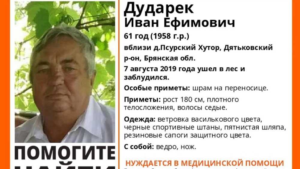 Под Дятьковом в лесу пропал 61-летний Иван Дударек
