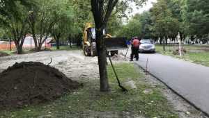 В Брянске возле Кургана Бессмертия начали строить спортивную площадку