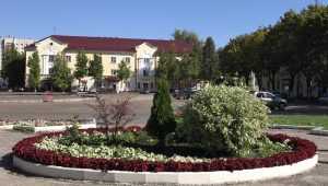 В Брянскую область пришла 28-градусная жара