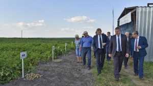 Министр поддержал идею провести в Брянской области День поля