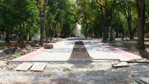 В Брянске Круглый сквер отремонтируют до октября
