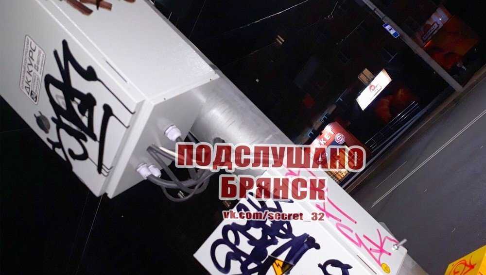 В Брянске Ося и Киса размалевали новый светофор на проспекте Ленина