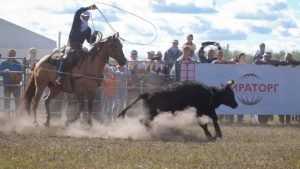 «Мираторг» решил покарать сайт за статью о «Брянской мясной компании»