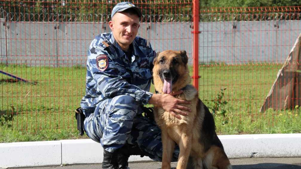 В Брянском районе пёс Рикардо помог полиции раскрыть кражу кошелька