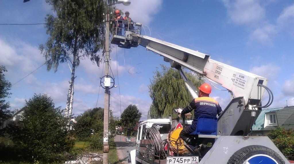 В Брянске из-за порыва ветра береза рухнула на провода