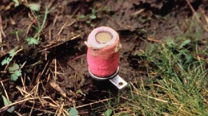 В США планируют использовать цианидные бомбы для борьбы с вредителями