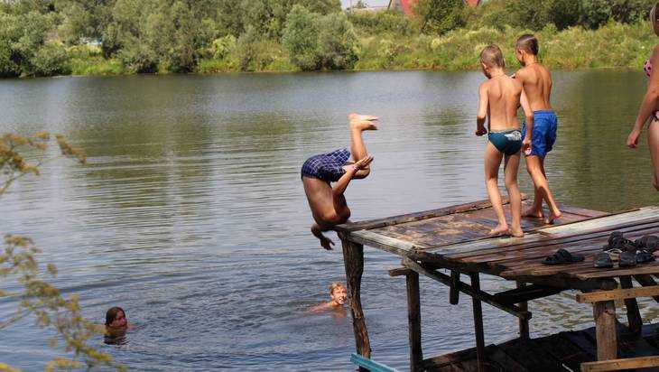 Брянскую область 20 августа накроет 28-градусная жара