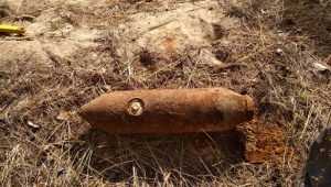 Жителей Почепа напугала авиабомба в лесу