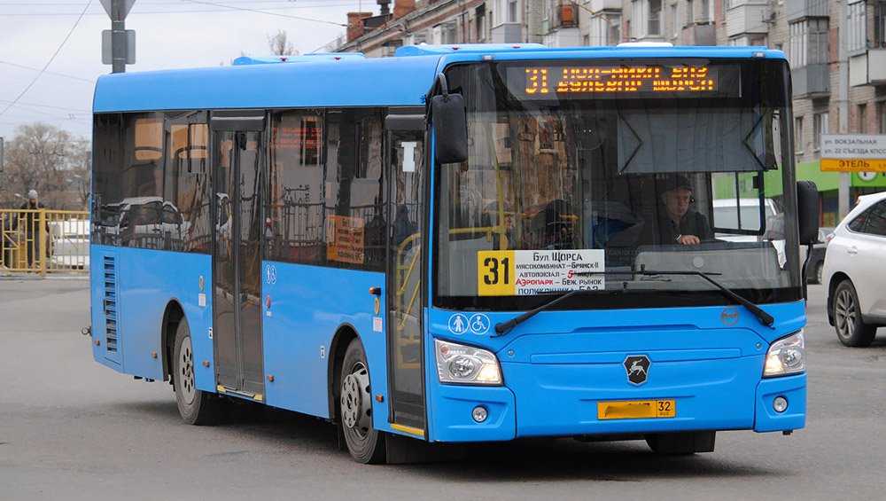 В Брянске даже дети стали пользоваться удобными терминалами в автобусах