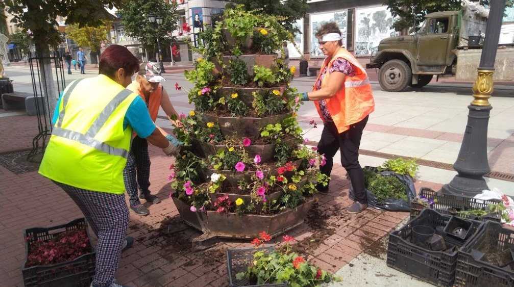 В Брянске дорожники высадили цветы на бульваре Гагарина