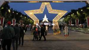 Брянских виноделов оштрафуют за рекламу сидра на Кургане Бессмертия