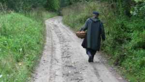 В Брянской области в июле пропали без вести 45 человек