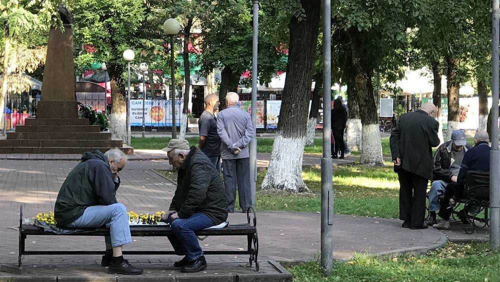 Брянские фанатики ферзя предложили всем думать