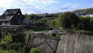 Лукавая цифра: на одного брянца приходится 30 квадратных метров жилья