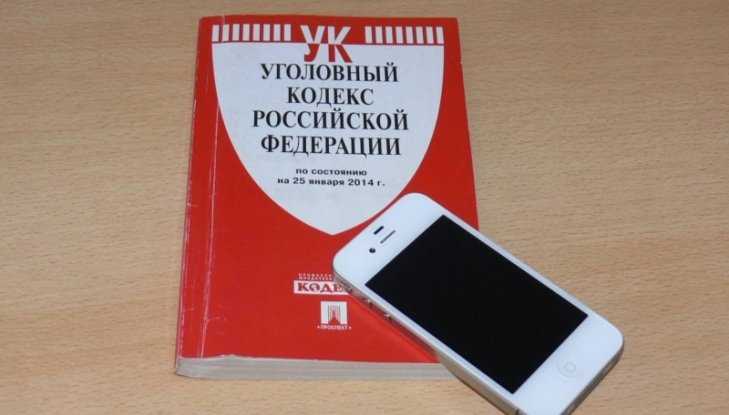 Житель Брянска угодил под следствие из-за найденного в ТРЦ мобильника