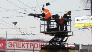 Жительница Брянска заявила, что в одиночку будет биться за «рогатых»