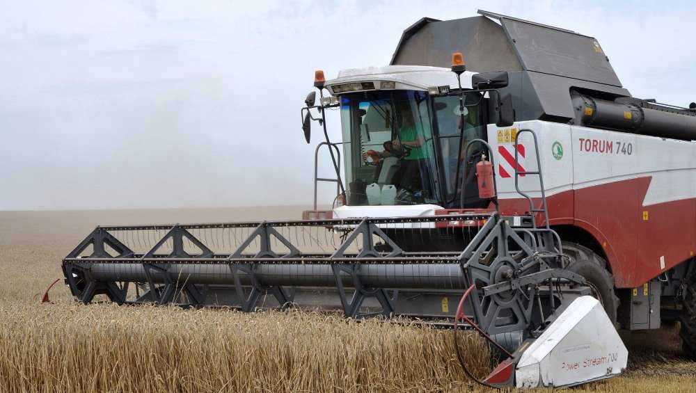 В этом году в Брянской области соберут 2 миллиона тонн зерна