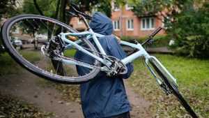 Лишившийся велосипеда житель Жуковки в отместку украл два чужих
