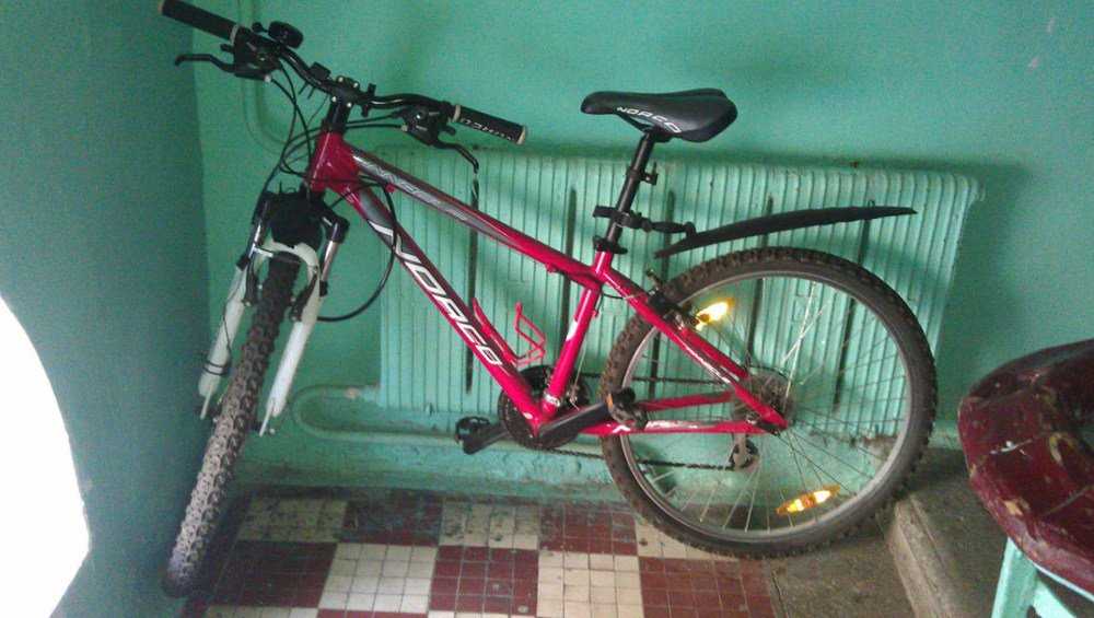 У жительницы Брянска сосед-уголовник украл велосипед