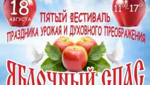 В Брянске на Яблочный спас ограничат движение, но добавят автобусы