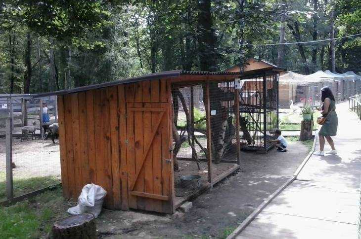 Брянский зверинец. Не «Орловское полесье», но все же…