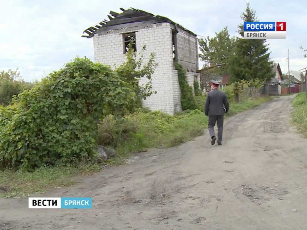 В Брянске активизировались дачные воры