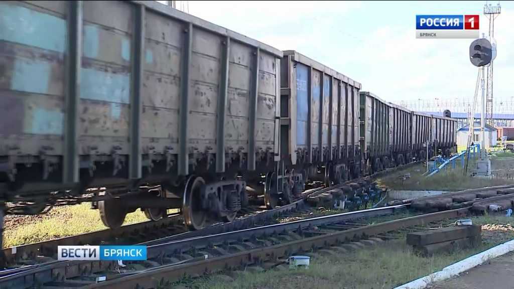 В Брянской области в этом году шесть человек погибли на железной дороге